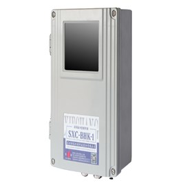 BHK智能脉冲控制仪