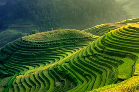 强乱强乱中文字幕