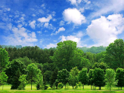 袋式除尘器清灰单元滤袋常用滤料